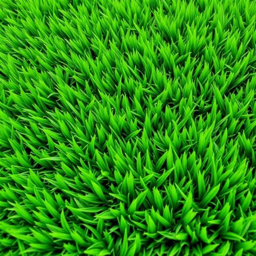 Astroturf